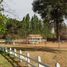  Land for sale in Chile, Mostazal, Cachapoal, Libertador General Bernardo Ohiggins, Chile