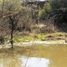  Terreno (Parcela) en venta en Maule, Cauquenes, Cauquenes, Maule