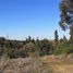  Terreno (Parcela) en venta en Maule, Cauquenes, Cauquenes, Maule