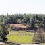  Terreno (Parcela) en venta en Maule, Cauquenes, Cauquenes, Maule