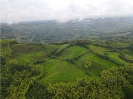 2 Habitación Casa en venta en Montenegro, Quindio, Montenegro