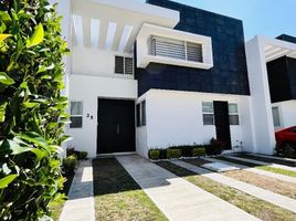 3 Habitación Casa en alquiler en Santa Isabel Cholula, Puebla, Santa Isabel Cholula