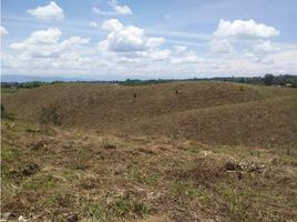  Terreno (Parcela) en venta en Armenia, Quindio, Armenia