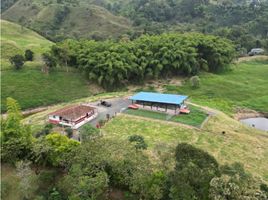 Estudio Casa en venta en Colombia, Filandia, Quindio, Colombia