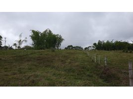  Terreno (Parcela) en venta en Quindio, Salento, Quindio