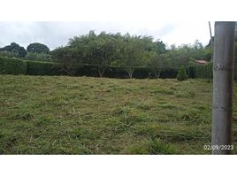  Terreno (Parcela) en venta en La Tebaida, Quindio, La Tebaida