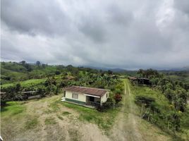 Estudio Casa en venta en Ecuador, Santo Domingo De Los Colorados, Santo Domingo, Santo Domingo de los Tsachilas, Ecuador