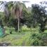  Land for sale in Baru, Chiriqui, Progreso, Baru