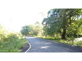  Terrain for sale in Jungla de Panama Wildlife Refuge, Palmira, Alto Boquete