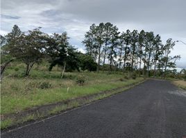  Terrain for sale in Jungla de Panama Wildlife Refuge, Palmira, Alto Boquete