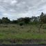  Terrain for sale in Jungla de Panama Wildlife Refuge, Palmira, Alto Boquete