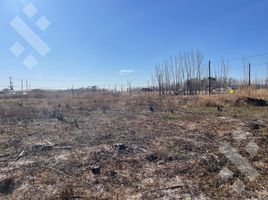  Land for sale in Neuquen, Confluencia, Neuquen