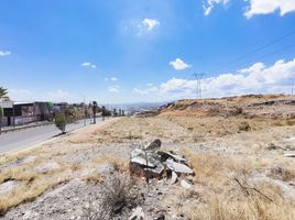  Terreno (Parcela) en venta en Queretaro, Querétaro, Queretaro, Querétaro, México