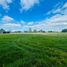  Land for sale in Llanquihue, Los Lagos, Frutillar, Llanquihue