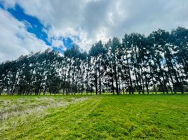  Land for sale in Llanquihue, Los Lagos, Frutillar, Llanquihue