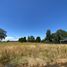  Land for sale in Chile, Osorno, Osorno, Los Lagos, Chile