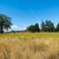  Land for sale in Chile, Osorno, Osorno, Los Lagos, Chile