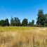  Land for sale in Chile, Osorno, Osorno, Los Lagos, Chile