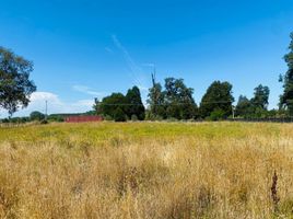 Land for sale in Chile, Osorno, Osorno, Los Lagos, Chile