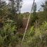  Terreno (Parcela) en venta en Chile, Calbuco, Llanquihue, Los Lagos, Chile