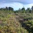  Terreno (Parcela) en venta en Chile, Calbuco, Llanquihue, Los Lagos, Chile