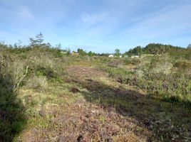  Terreno (Parcela) en venta en Chile, Calbuco, Llanquihue, Los Lagos, Chile