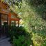  토지을(를) Nogales, Quillota에서 판매합니다., Nogales