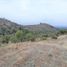  Terreno (Parcela) en venta en Maule, Pencahue, Talca, Maule