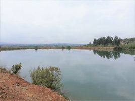 Terreno (Parcela) en venta en Maule, Pencahue, Talca, Maule