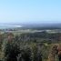  Terreno (Parcela) en venta en Maule, Pelluhue, Cauquenes, Maule