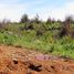  Terreno (Parcela) en venta en Maule, Pelluhue, Cauquenes, Maule