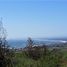  Terreno (Parcela) en venta en Maule, Pelluhue, Cauquenes, Maule