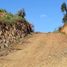  Terreno (Parcela) en venta en Maule, Pelluhue, Cauquenes, Maule