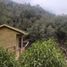  Terreno (Parcela) en venta en Cordillera, Santiago, San Jode de Maipo, Cordillera