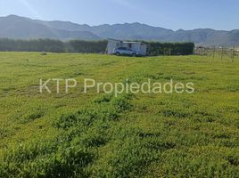 Land for sale in Elqui Coquimbo, Coquimbo