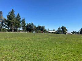  Terreno (Parcela) en venta en Ñuble, San Carlos, Punilla, Ñuble
