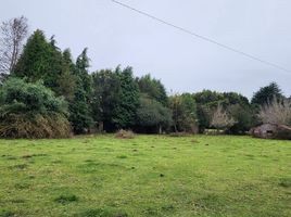  Terreno (Parcela) en venta en Llanquihue, Los Lagos, Los Muermos, Llanquihue
