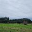  Terreno (Parcela) en venta en Llanquihue, Los Lagos, Los Muermos, Llanquihue