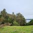  Terreno (Parcela) en venta en Llanquihue, Los Lagos, Los Muermos, Llanquihue