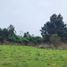  Terreno (Parcela) en venta en Llanquihue, Los Lagos, Los Muermos, Llanquihue