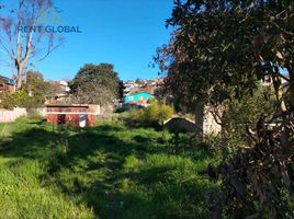  Land for sale in Valparaiso, Quilpue, Valparaiso, Valparaiso