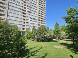 1 Bedroom Apartment for sale in San Jode De Maipo, Cordillera, San Jode De Maipo