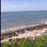  Grundstück zu verkaufen in Othon P Blanco, Quintana Roo, Othon P Blanco