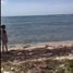  Grundstück zu verkaufen in Othon P Blanco, Quintana Roo, Othon P Blanco