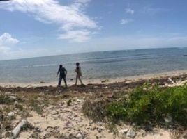  Grundstück zu verkaufen in Othon P Blanco, Quintana Roo, Othon P Blanco