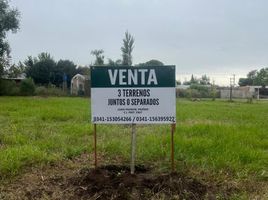  Terreno (Parcela) en venta en Iriondo, Santa Fe, Iriondo