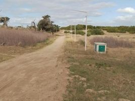  Land for sale in Villa Gesell, Buenos Aires, Villa Gesell