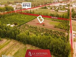  Land for sale in General Roca, Rio Negro, General Roca