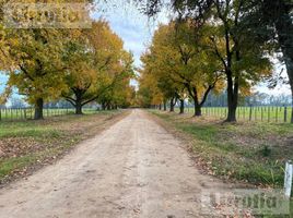  Terrain for sale in Lujan, Buenos Aires, Lujan