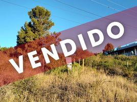  Land for sale in Punilla, Cordoba, Punilla